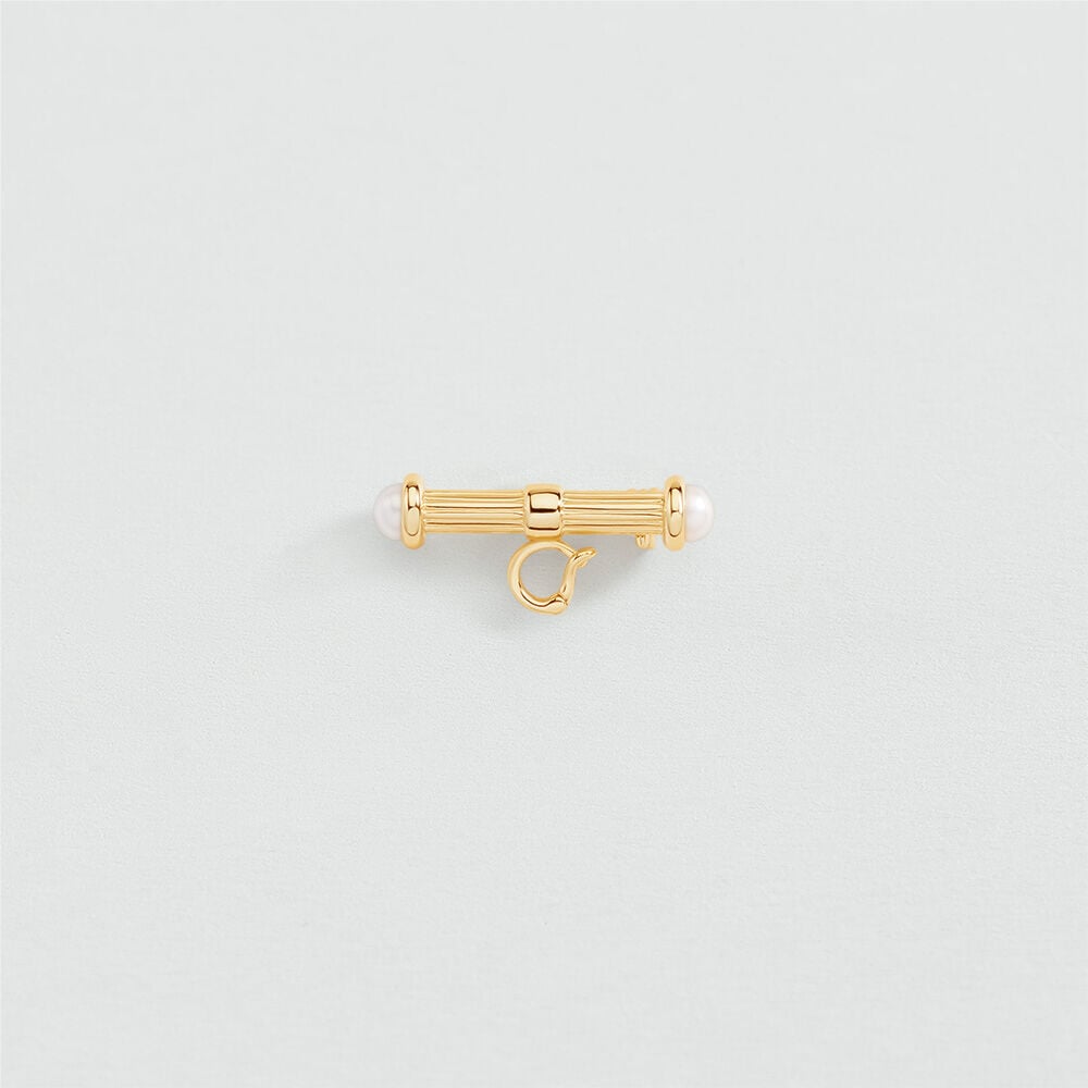 Broche T-BAR - Blanc / Doré - 1