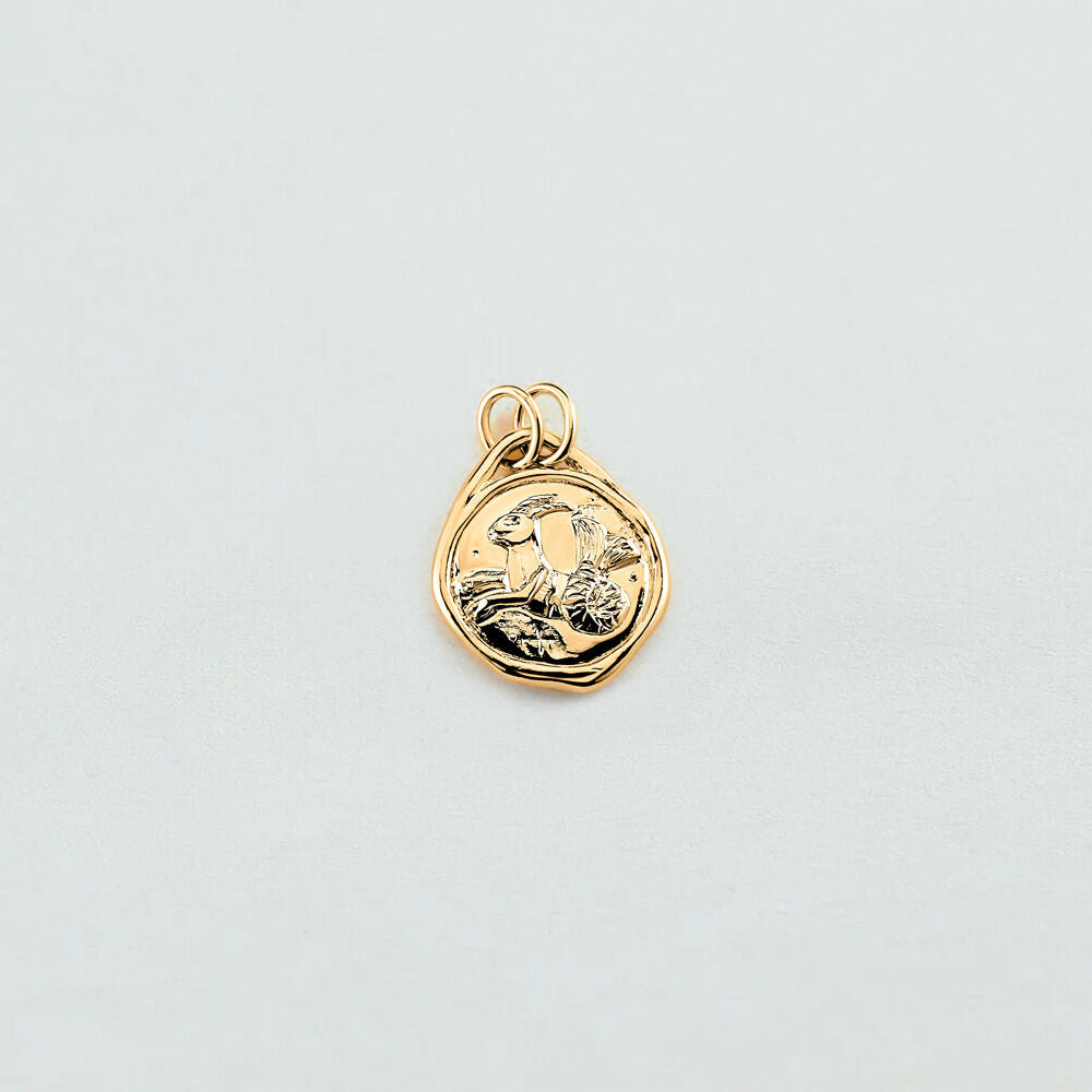 Pendentif CAPRICORNE ZODIAQUE - Doré - 1